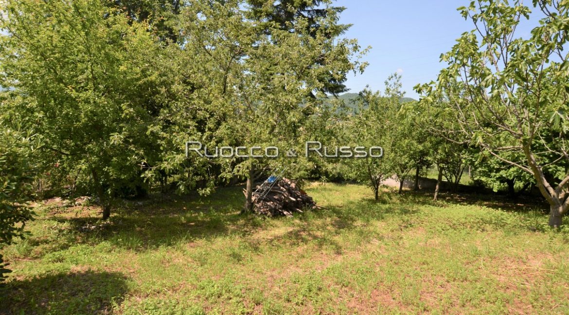GIARDINO/TERRENO