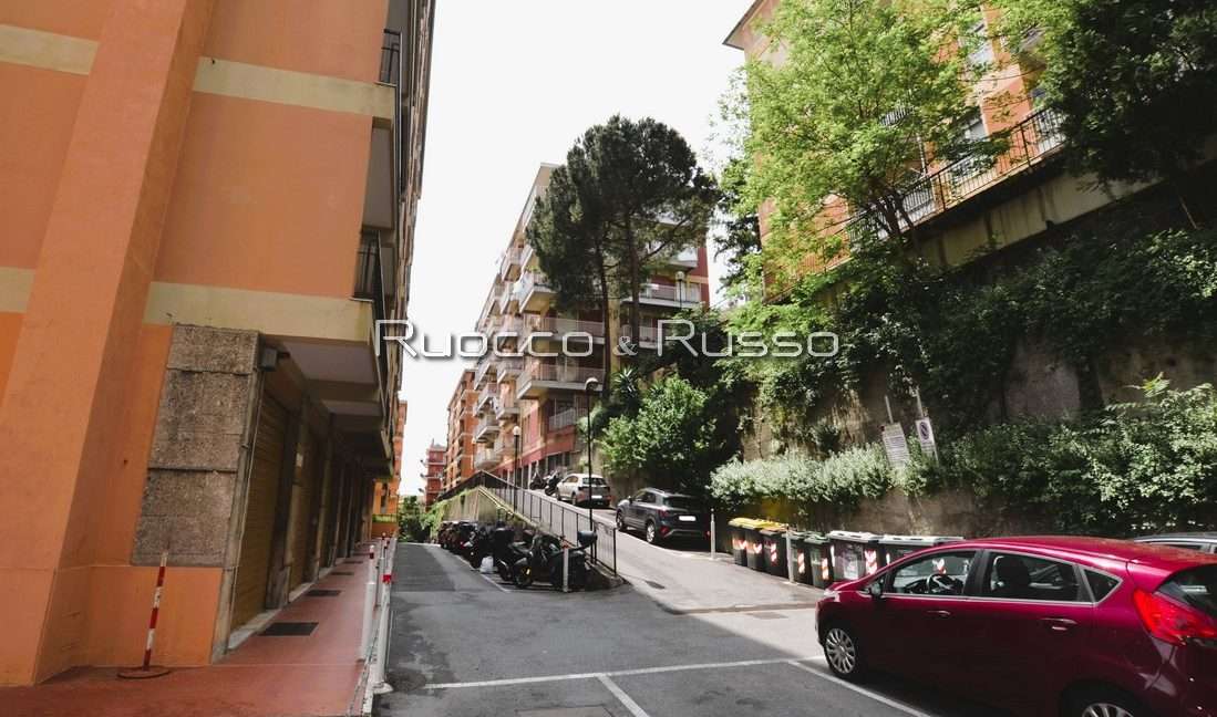 ZONA CIRCOSTANTE