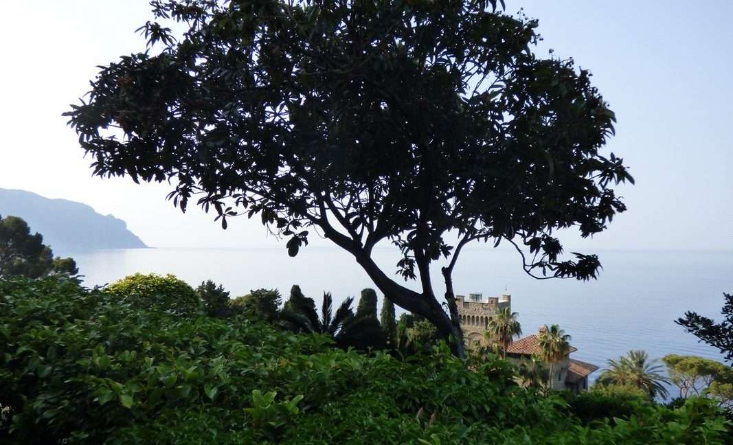 P1030621