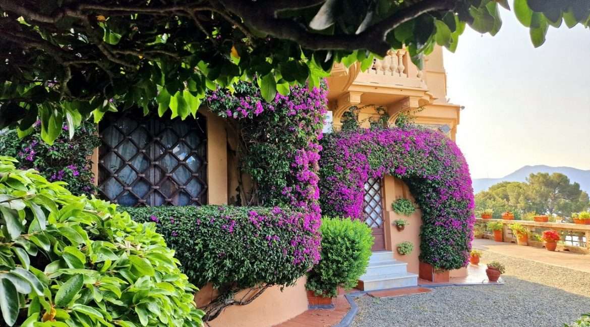 fiori