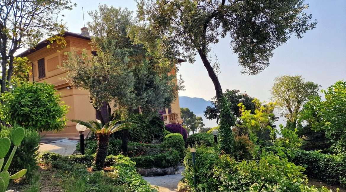 vista dal parco