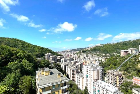 VISTA