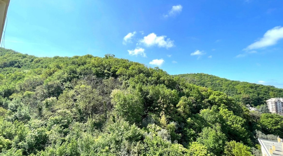 VISTA