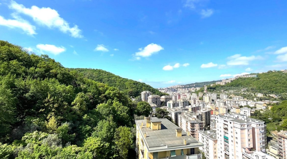 VISTA