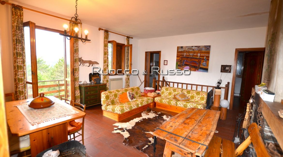 SALONE