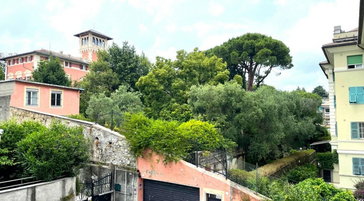 VASSALLO (1)