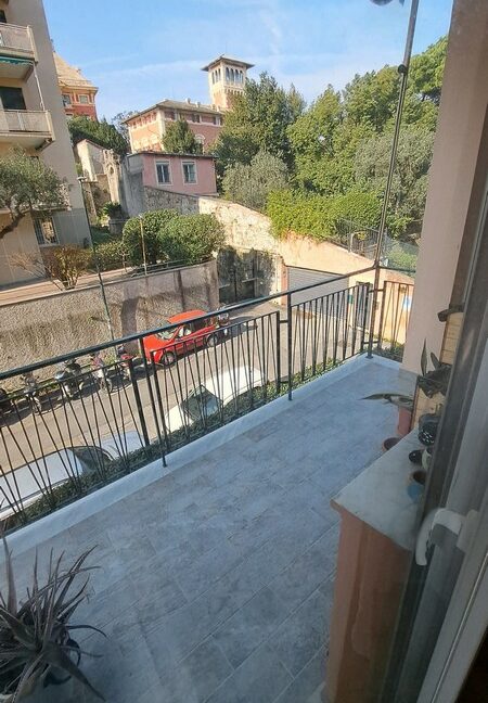 VASSALLO (21)