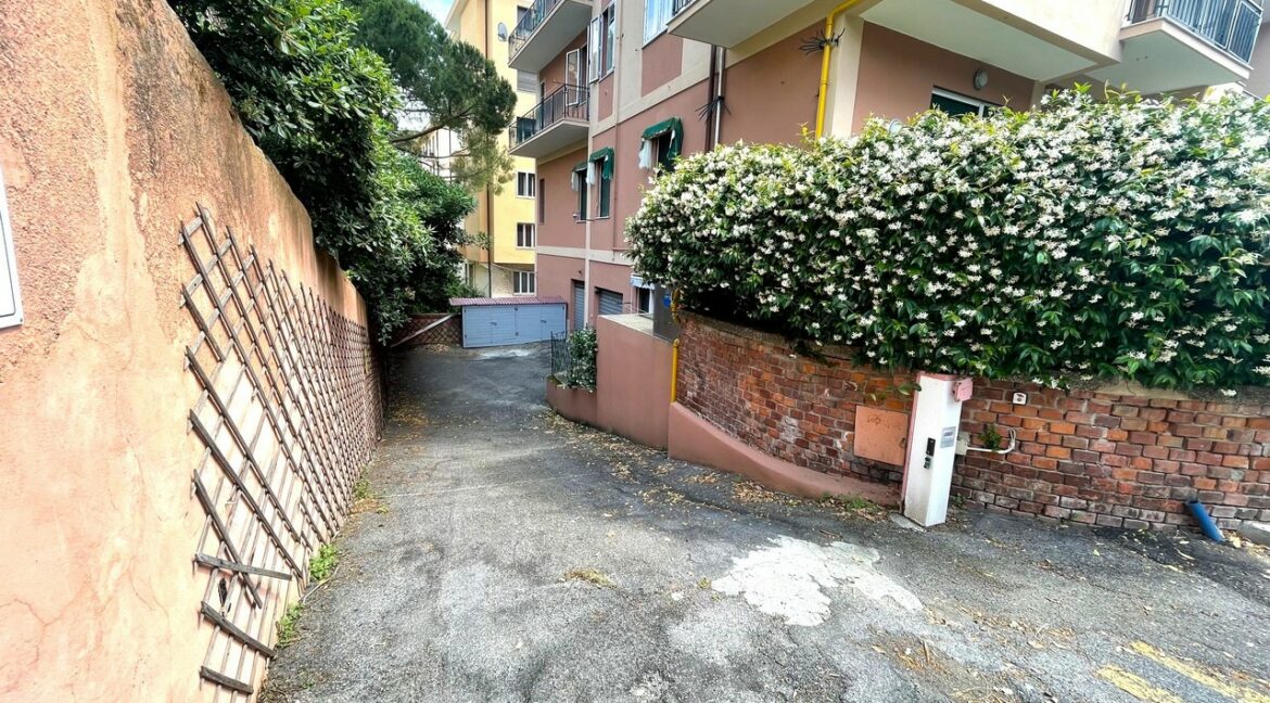 VASSALLO (4)