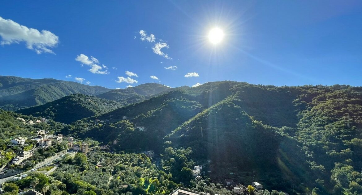 VISTA