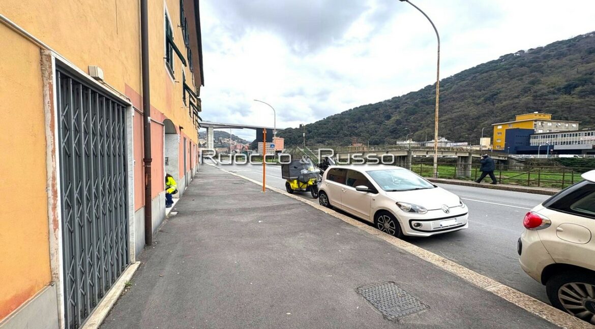 PIACENZA 023